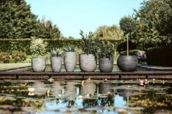 Capi Bloempot Bol Nature Rib NL - D43 X H41cm - Antraciet -Planten Winkel pot bol rib nl 43x41 antraciet bloempot 6 9