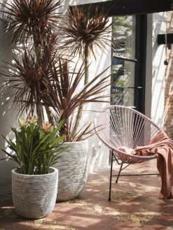 Planten Winkel -Planten Winkel pot bol rib nl 43x41 ivoor bloempot 6 9