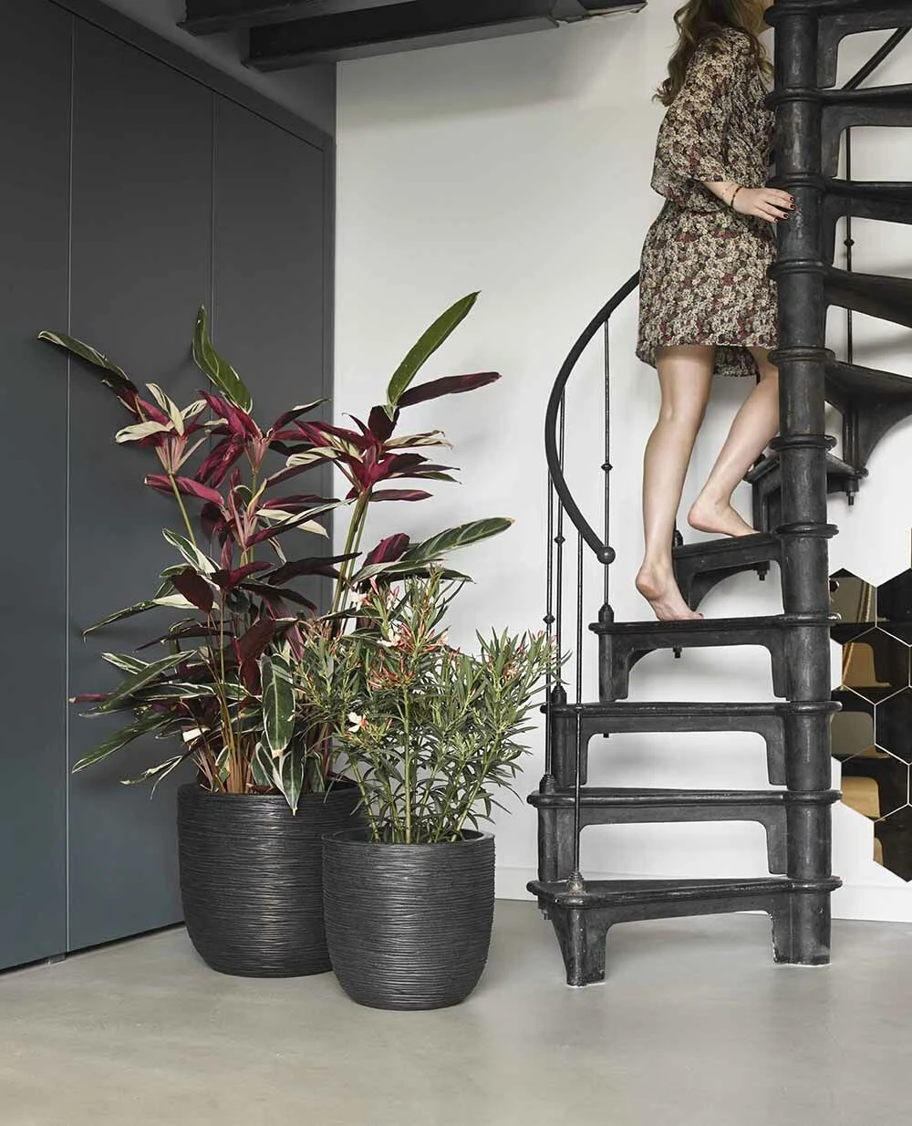 Capi Bloempot Bol Nature Rib NL - D43 X H41cm - Zwart 4 Capi Bloempot Bol Nature Rib NL - D43 X H41cm - Zwart - Afbeelding 2