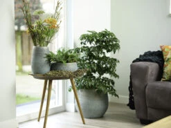 Bloempot Ryan - D22 X H20cm - Shiny Blue 7 Bloempot Ryan - D22 X H20cm - Shiny Blue -Planten Winkel pot ryan shiny blue keramiek d22 h20 bloempot 7 10