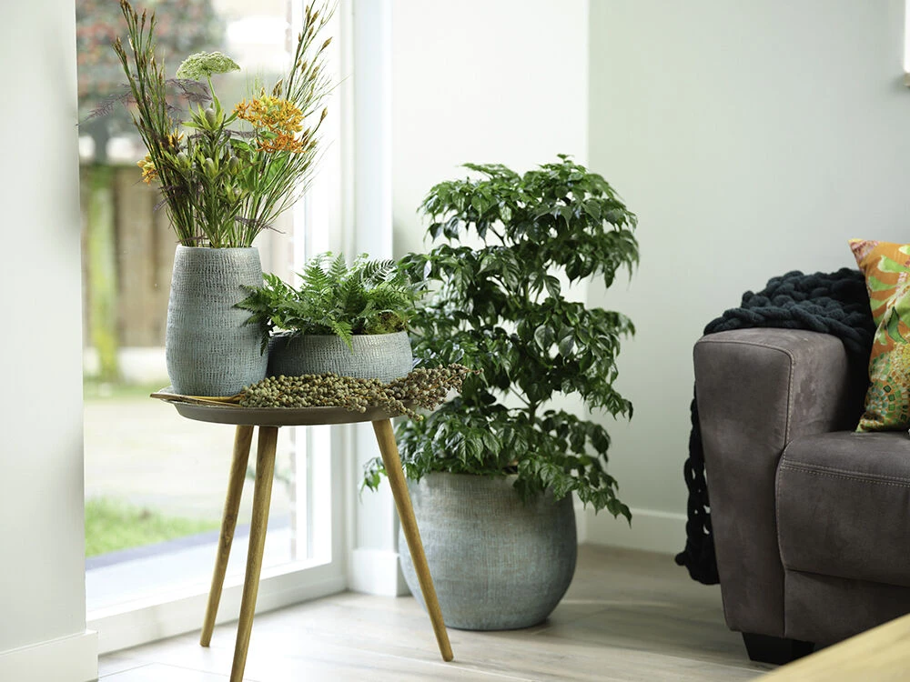 Bloempot Ryan - D22 X H20cm - Shiny Blue 5 Bloempot Ryan - D22 X H20cm - Shiny Blue - Afbeelding 3