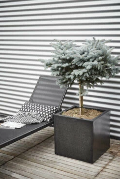 Capi Plantenbak Vierkant Lux Terrazo - L80 X B80 X H80cm - Zwart -Planten Winkel pot vierkant 80x80x80 zwart plantenbak 7 8