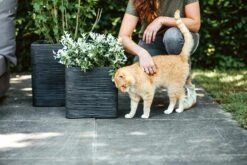 Capi Plantenbak Vierkant Nature Rib NL - L30 X B30 X H30cm - Zwart 7 Capi Plantenbak Vierkant Nature Rib NL - L30 X B30 X H30cm - Zwart -Planten Winkel pot vierkant rib nl 30x30x30 zwart plantenbak 7 8