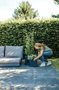 Capi Plantenbak Vierkant Nature Rib NL - L40 X B40 X H40cm - Zwart -Planten Winkel pot vierkant rib nl 40x40x40 zwart plantenbak 7 8