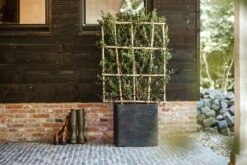 Capi Plantenbak Vierkant Nature Rib NL - L50 X B50 X H50cm - Zwart -Planten Winkel pot vierkant rib nl 50x50x50 zwart plantenbak 7 8