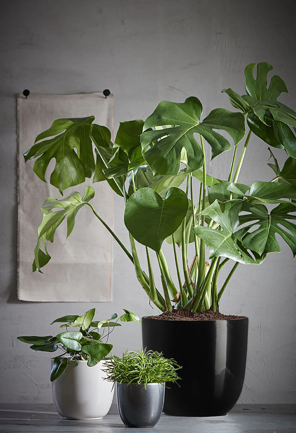 Bloempot Tusca - D39 X H34.5cm - Antraciet 4 Bloempot Tusca - D39 X H34.5cm - Antraciet - Afbeelding 2