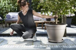 Plantentaxi Elho Universeel 30cm - Antraciet 6 Plantentaxi Elho Universeel 30cm - Antraciet -Planten Winkel universele planttaxi 30cm schotel antraciet 6 11