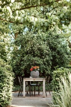 Capi Bloempot Hoog Nature Rib NL - D40 X H32cm - Antraciet 7 Capi Bloempot Hoog Nature Rib NL - D40 X H32cm - Antraciet -Planten Winkel vaas bol rib nl 40x32 antraciet bloempot 7 4