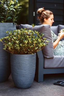 Capi Bloempot Nature Elegant Rib NL - D46 X H58cm - Donkergrijs -Planten Winkel vaas elegant laag rib nl donkergrijs bloempot 2 4