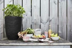 Planten Winkel -Planten Winkel vaas elegant laag row nl 36x47 zwart bloempot 6 8