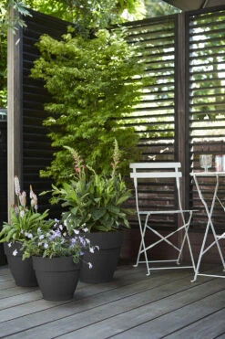 Bloempot Elho Vibia Campana Rond 47cm - Antraciet 7 Bloempot Elho Vibia Campana Rond 47cm - Antraciet -Planten Winkel vibia campana rond 47 bloempot antraciet 7 11