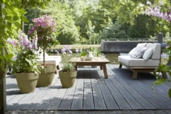 Bloempot Elho Vibia Campana Rond 40cm - Saliegroen 9 Bloempot Elho Vibia Campana Rond 40cm - Saliegroen -Planten Winkel vibia campana saliegroen bloempot 4 6