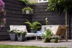 Bloempot Elho Vibia Campana Vierkant 37cm - Antraciet -Planten Winkel vibia campana vierkant 37 plantenbak antraciet 6 11