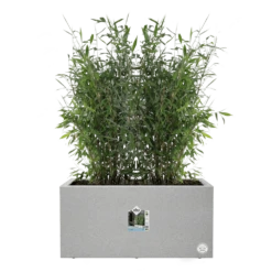 Elho Vivo Next Lang Wielen 80cm - Warm Grijs 13 Elho Vivo Next Lang Wielen 80cm - Warm Grijs -Planten Winkel vivo matt lang wielen 80cm warm grijs 5 1