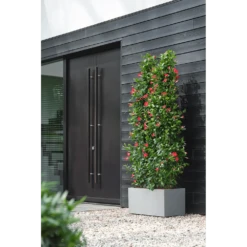 Elho Vivo Next Lang Wielen 80cm - Warm Grijs 14 Elho Vivo Next Lang Wielen 80cm - Warm Grijs -Planten Winkel vivo matt lang wielen 80cm warm grijs 6 1