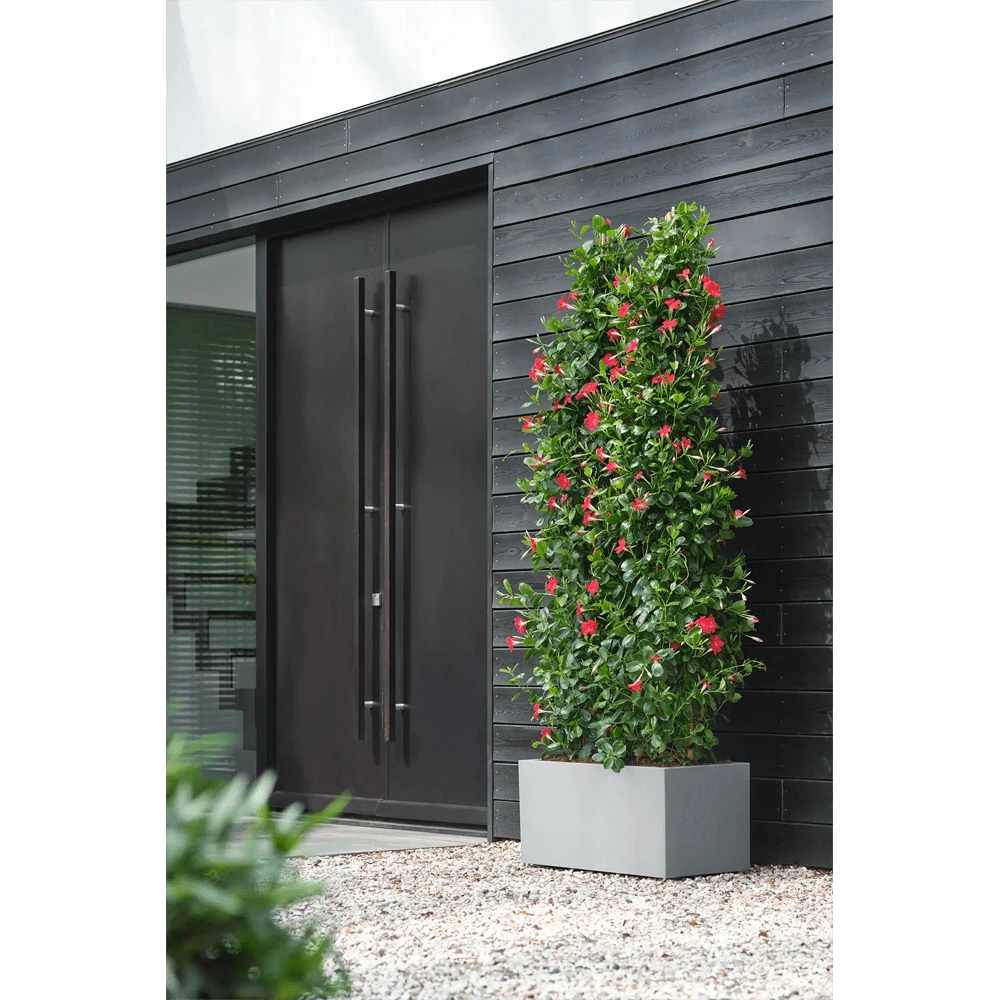 Elho Vivo Next Lang Wielen 80cm - Warm Grijs 8 Elho Vivo Next Lang Wielen 80cm - Warm Grijs - Afbeelding 6