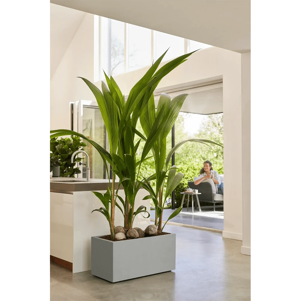 Elho Vivo Next Lang Wielen 80cm - Warm Grijs 9 Elho Vivo Next Lang Wielen 80cm - Warm Grijs - Afbeelding 7