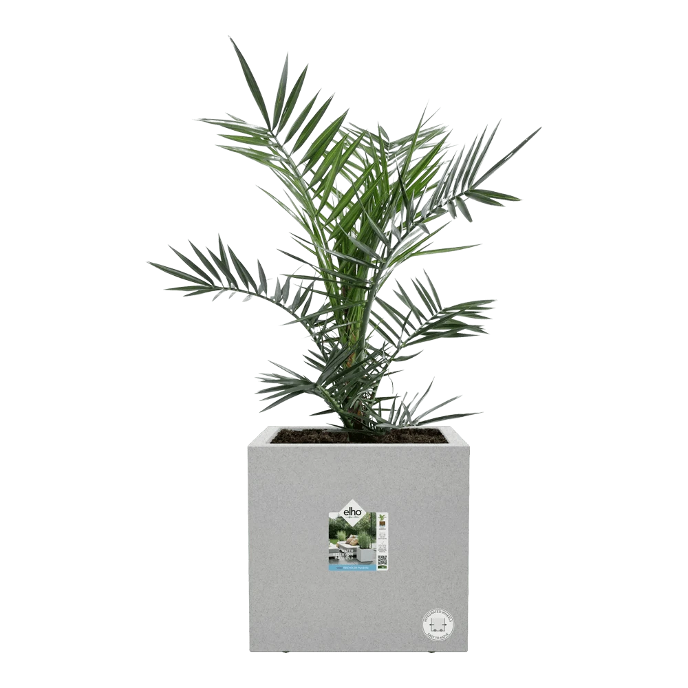 Elho Vivo Next Vierkant Wielen 40cm - Warm Grijs 8 Elho Vivo Next Vierkant Wielen 40cm - Warm Grijs - Afbeelding 6