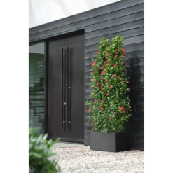 Elho Vivo Next Lang Wielen 60cm - Living Black -Planten Winkel vivo next lang wielen 60cm living black 6 1