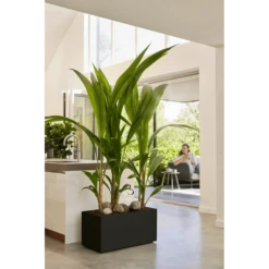 Elho Vivo Next Lang Wielen 60cm - Living Black -Planten Winkel vivo next lang wielen 60cm living black 7 1