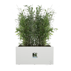 Elho Vivo Next Lang Wielen 80cm - Wit -Planten Winkel vivo next lang wielen 80cm wit 5 1