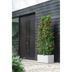 Elho Vivo Next Lang Wielen 80cm - Wit -Planten Winkel vivo next lang wielen 80cm wit 6 1