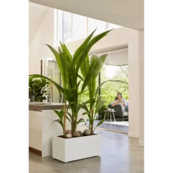 Elho Vivo Next Lang Wielen 80cm - Wit -Planten Winkel vivo next lang wielen 80cm wit 7 1