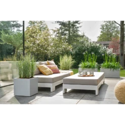 Elho Vivo Next Vierkant Wielen 30cm - Warm Grijs -Planten Winkel vivo next vierkant wielen 30cm warm grijs 7 1