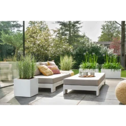 Elho Vivo Next Vierkant Wielen 30cm - Wit -Planten Winkel vivo next vierkant wielen 30cm wit 7 1